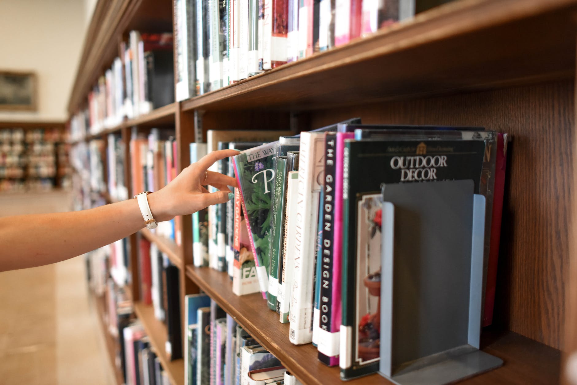Mean Old Librarians: An Author’s Odd Fear of Libraries